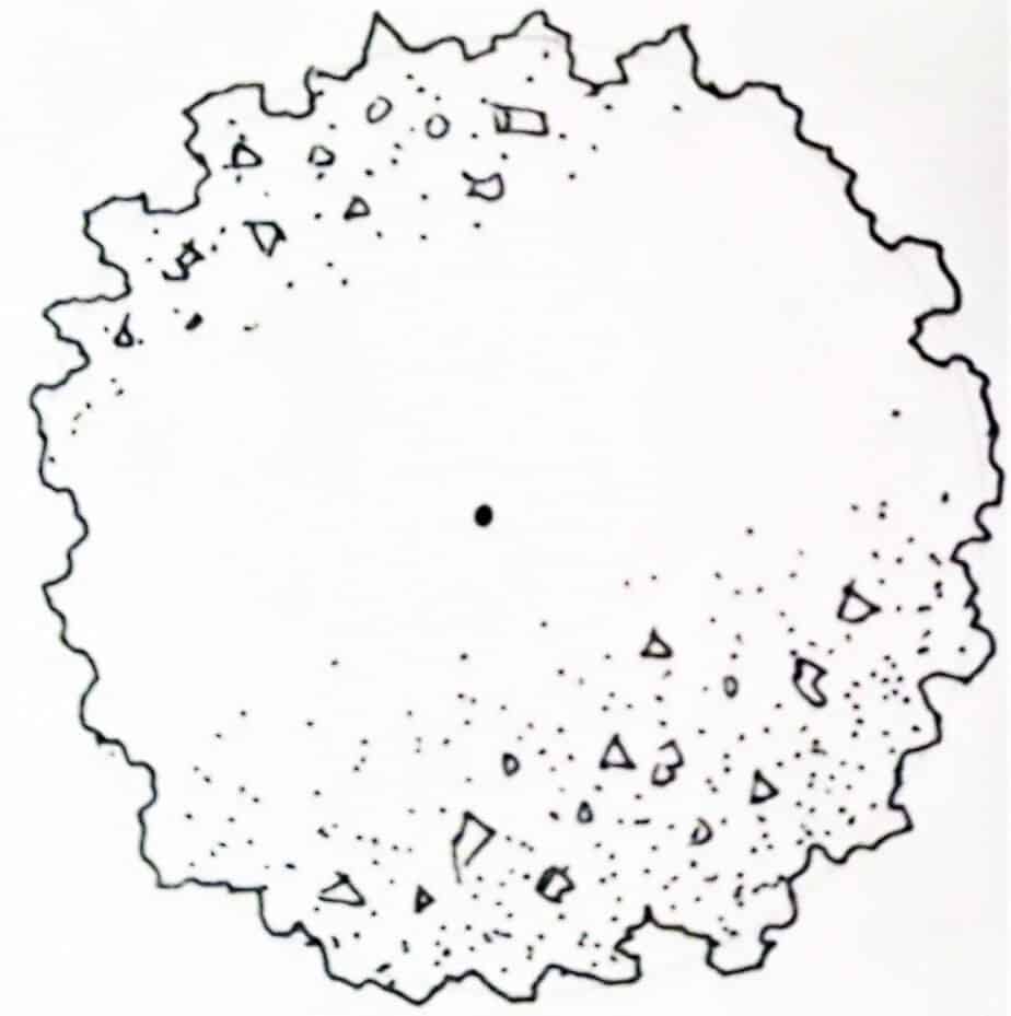 How To Draw Trees In Plan (Ornamental Deciduous) Hand Drafting 101
