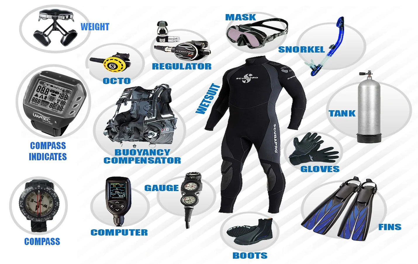 Your First Set of Scuba Gear Our Buyer's Guide for 2024