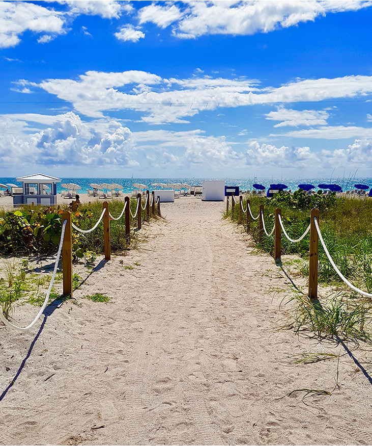 About Us DragonPoint