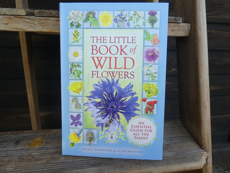 Little Book of Wild Flowers The Dragons Garden