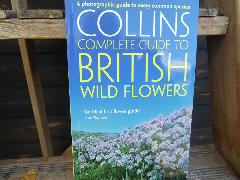 Complete Guide to British Wild Flowers The Dragons Garden