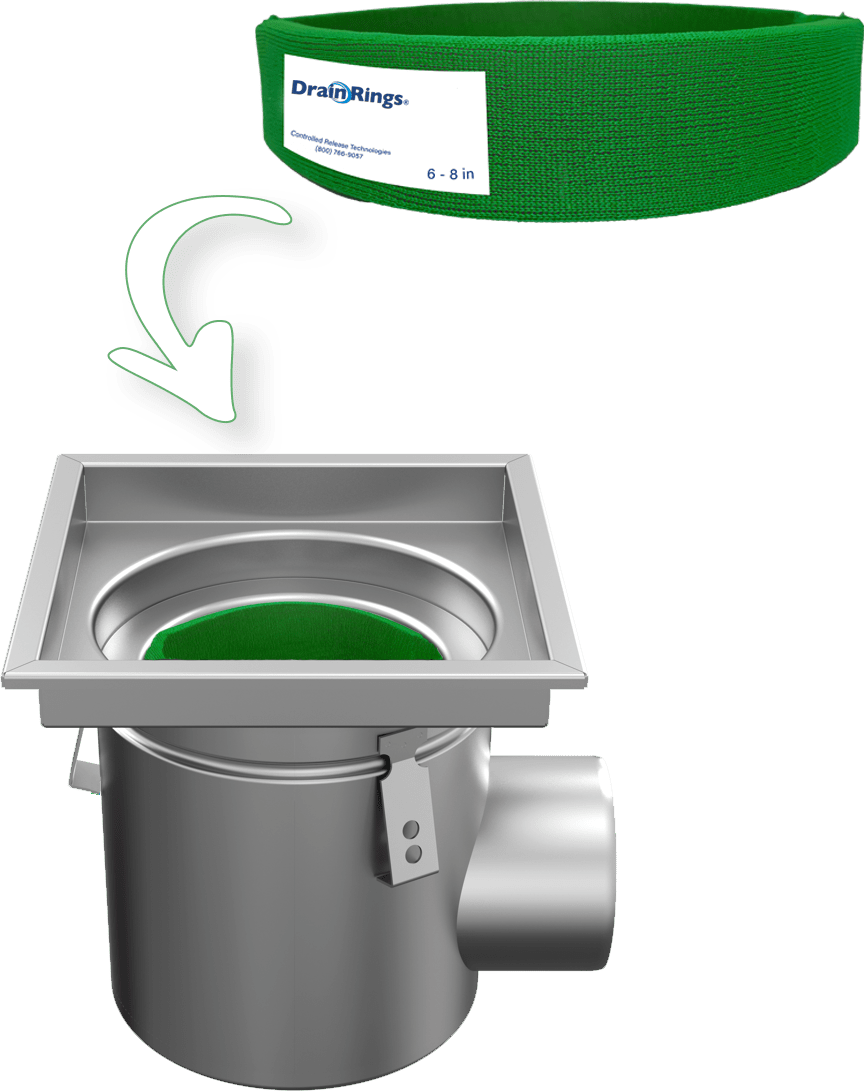 Drain Rings