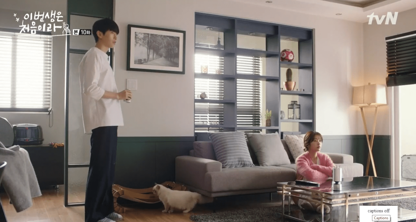 Apartment in a manly style in drama “Because This Is My First Life