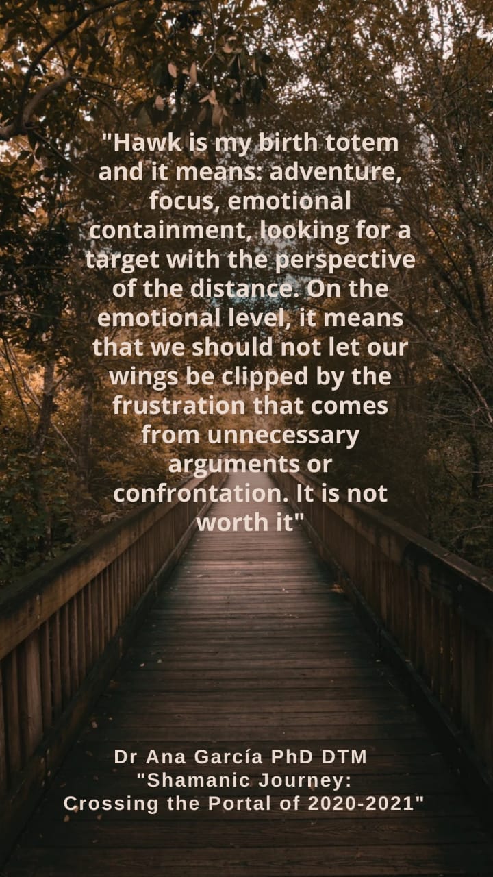 Hawk Stargate Institute of Integration of Consciousness