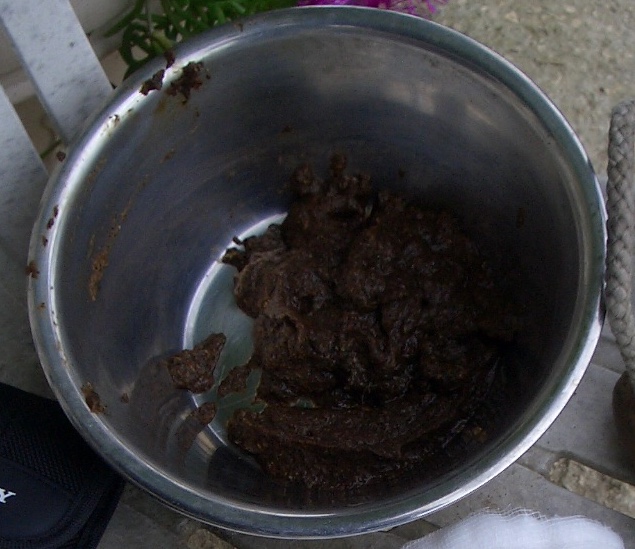 Symphytum officinale Dr. Andresen