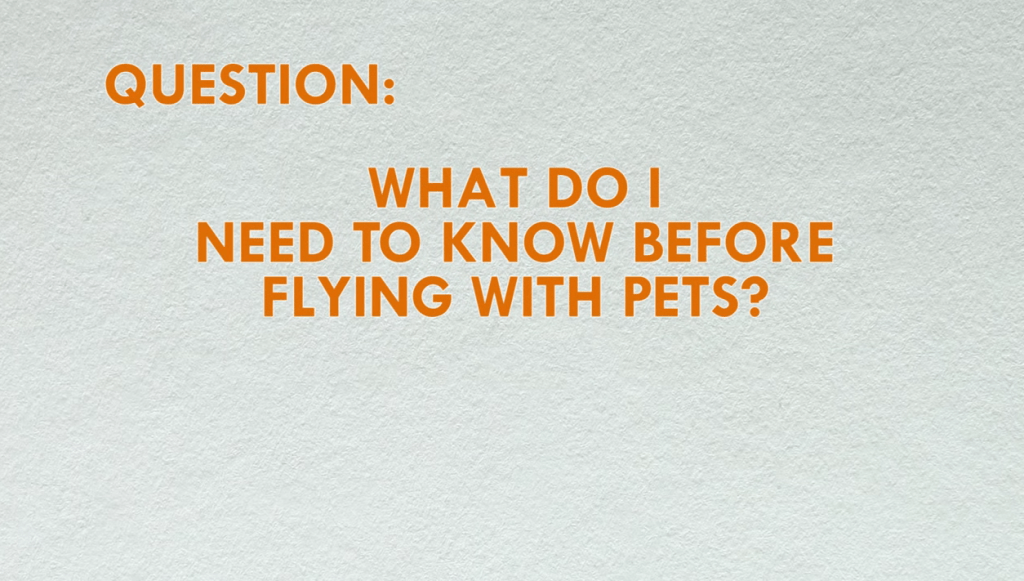 7 Steps to Successfully Flying with Your Pet