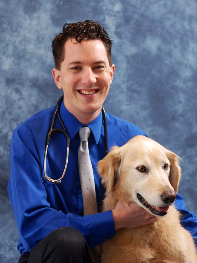 We Can Come Together and Support Each Other in Vet Med. Here’s How