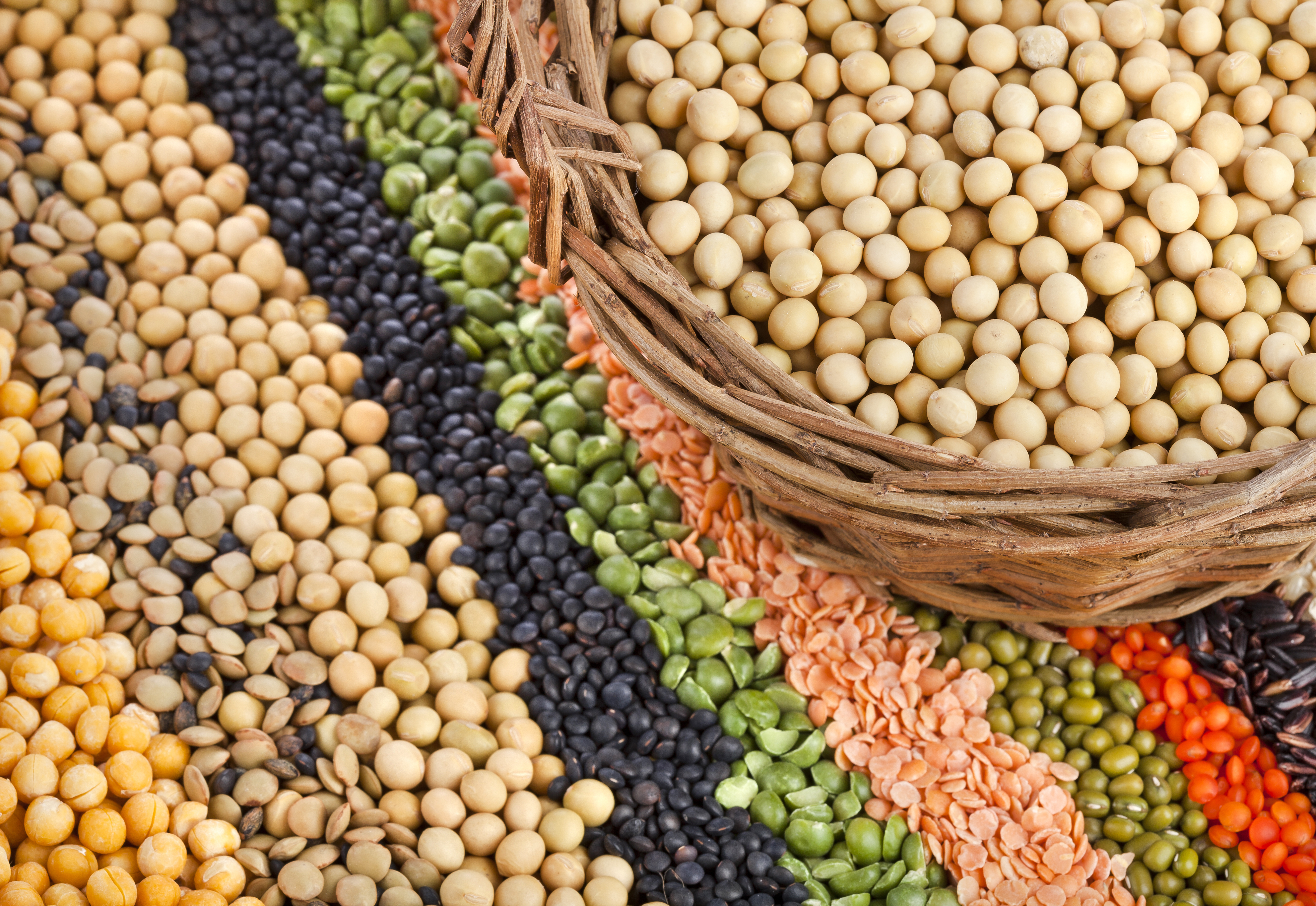 7 Reasons to Include More VegetableBased Proteins In Your Diet Dr