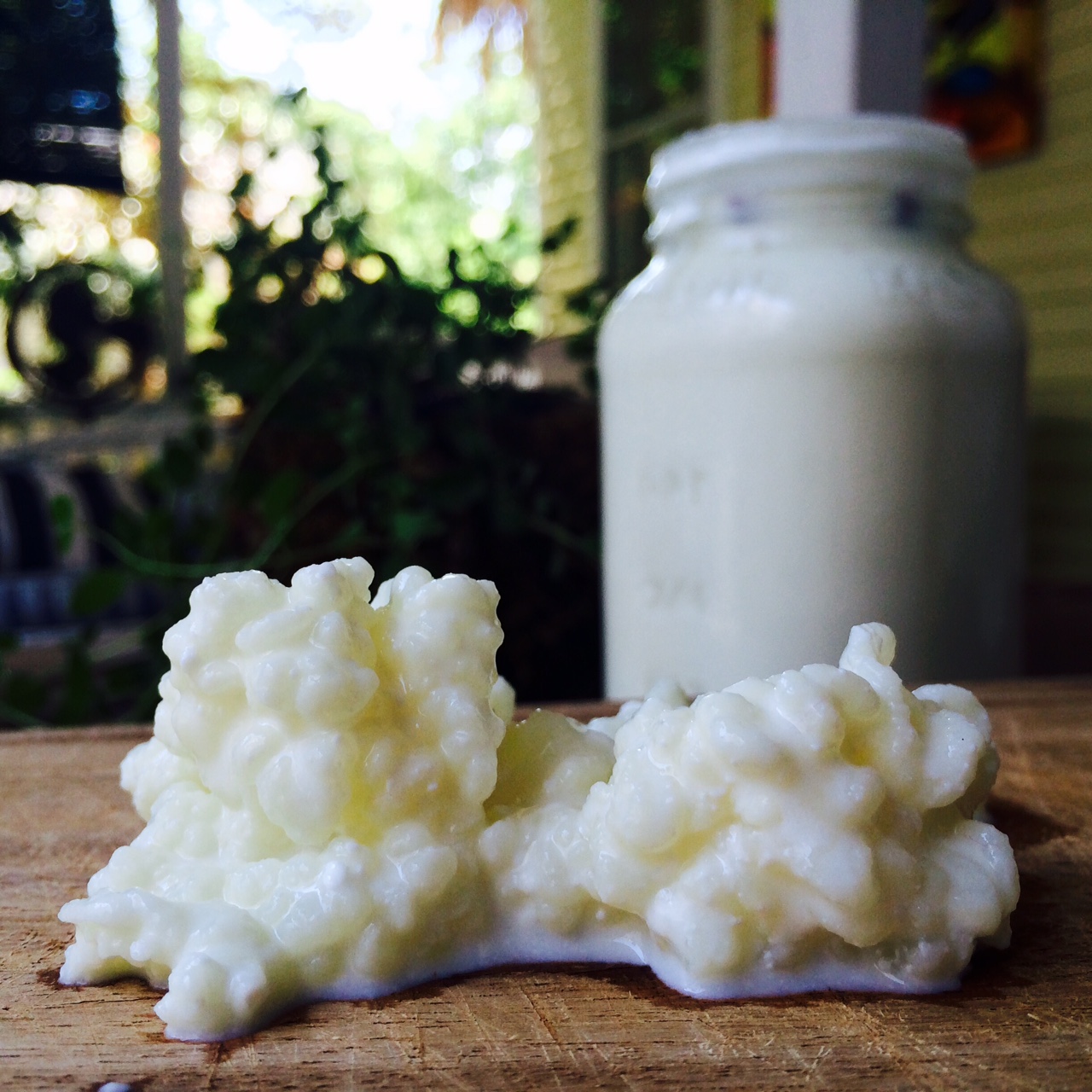 How to Make Kefir at Home Dr. Ann Wellness