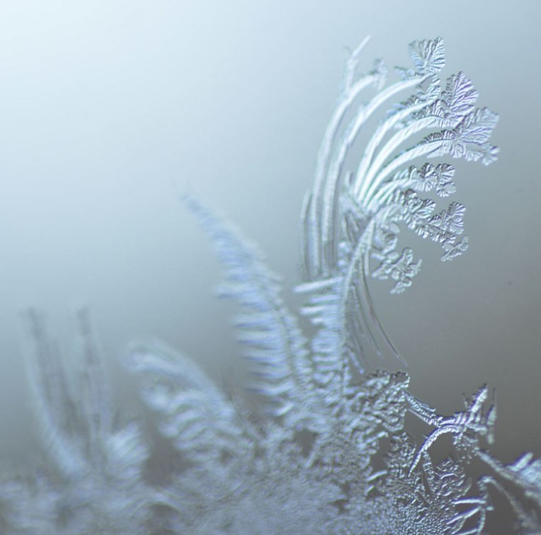 window frost draw and shoot