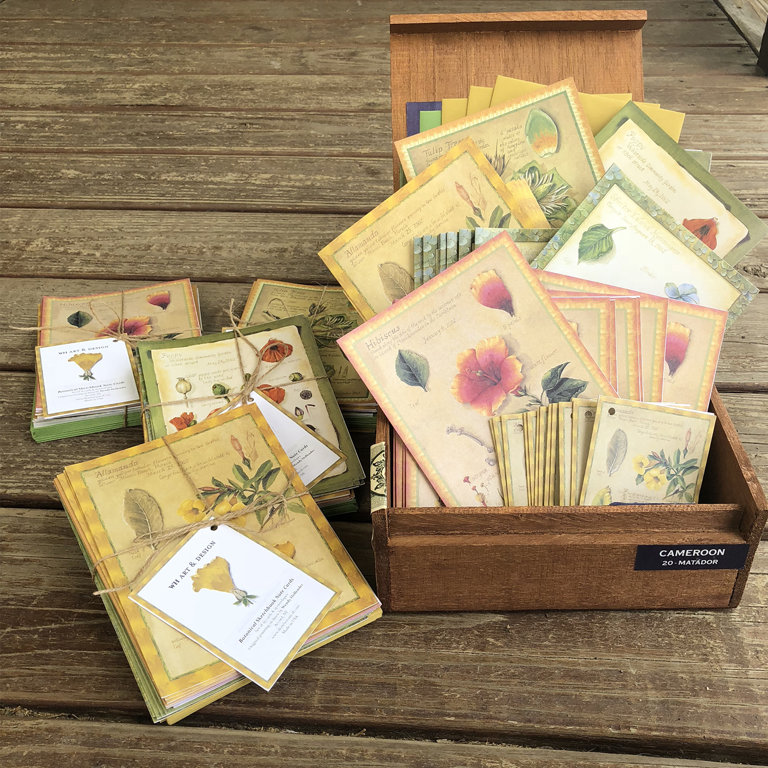 Vintage Botanical Sketchbook Note Cards (Set of 15) Draw Botanical