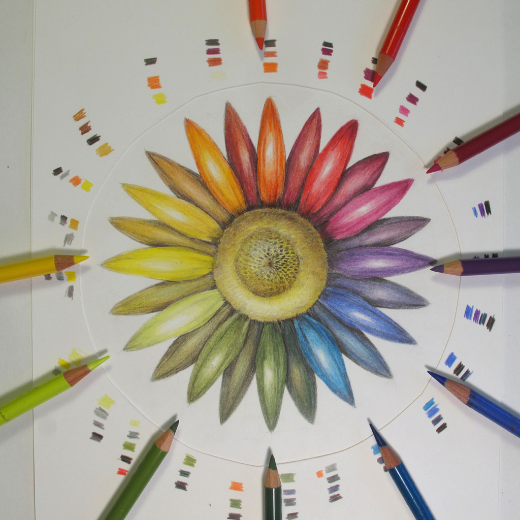 The Basics of Color Theory A Guide for Botanical Artists Draw