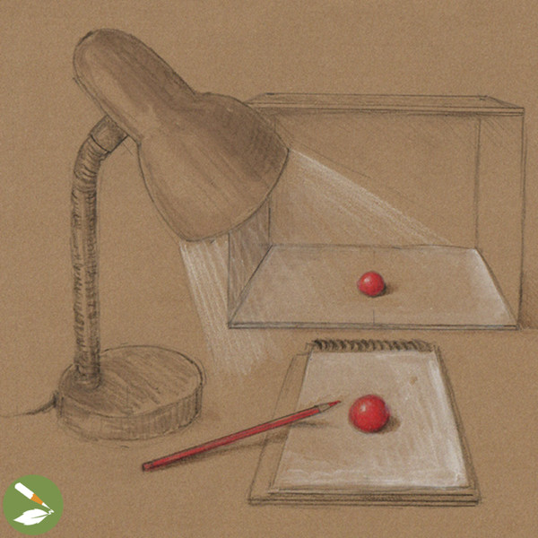 The Magic of Light Draw Botanical LLC