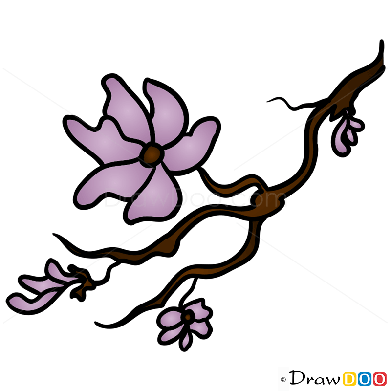 How to Draw Sakura, Flowers