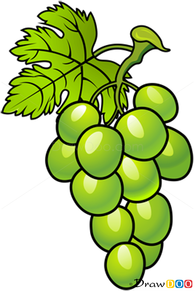 How to Draw Grapes, Fruits