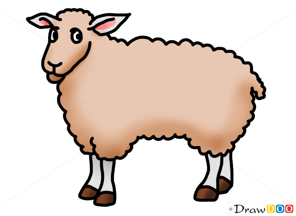 How to Draw Sheep, Kids Draw How to Draw, Drawing Ideas, Draw