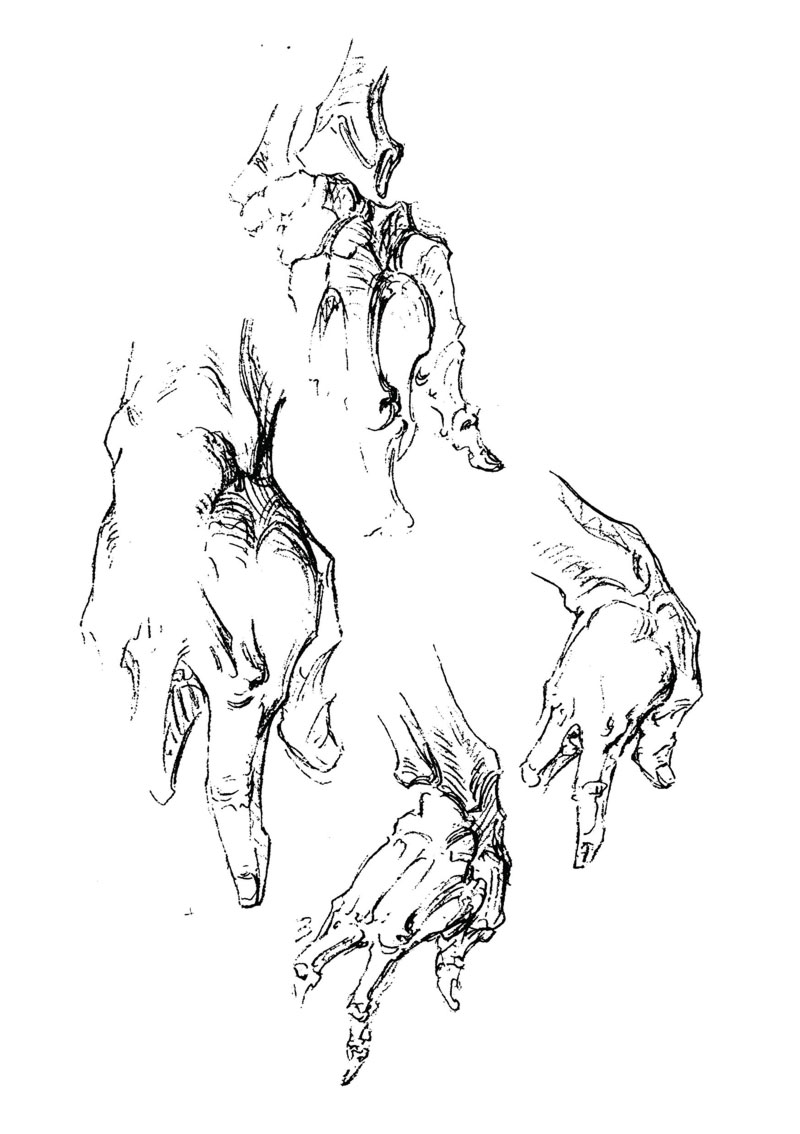 Book of a Hundred Hands B Bridgman