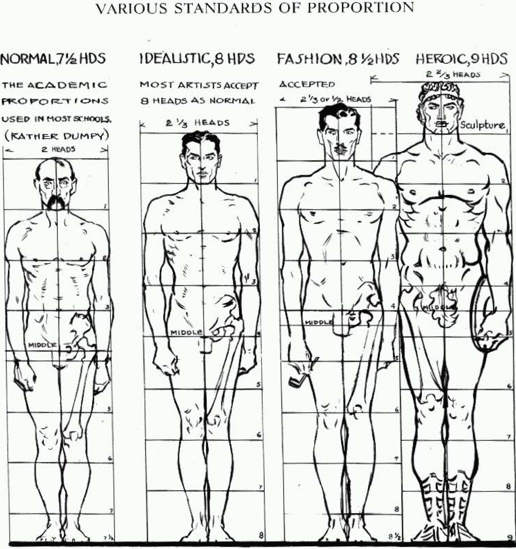 Proportions of the Human Figure How to Draw the Human Figure in the Correct Proportions How