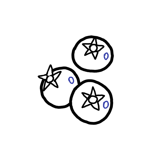 How to Draw Blueberries Step by Step Easy Drawing Guides Drawing Howtos