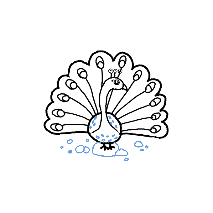 How to Draw a Peacock Step by Step Easy Drawing Guides Drawing Howtos