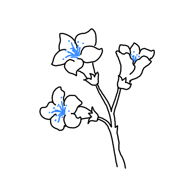 How to Draw Azalea Step by Step Easy Drawing Guides Drawing Howtos