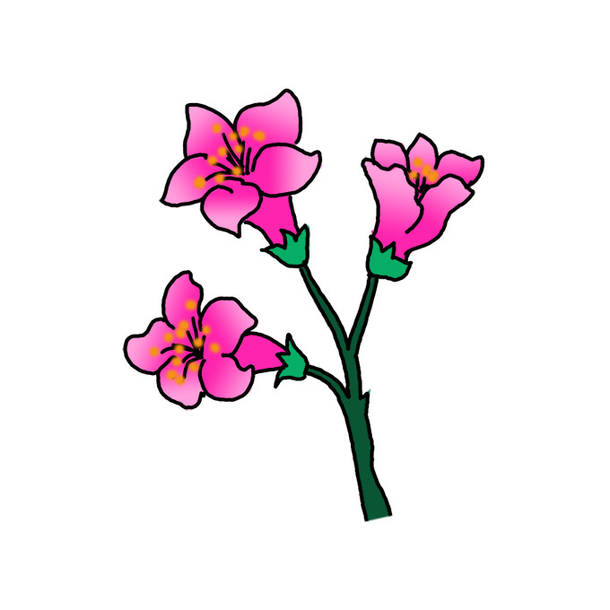 How to Draw Azalea Step by Step Easy Drawing Guides Drawing Howtos