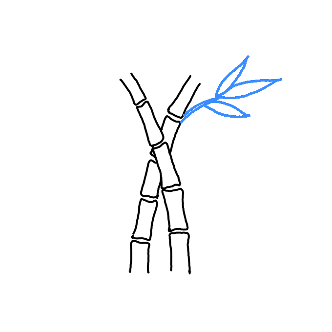 How to Draw Bamboo Step by Step Easy Drawing Guides Drawing Howtos