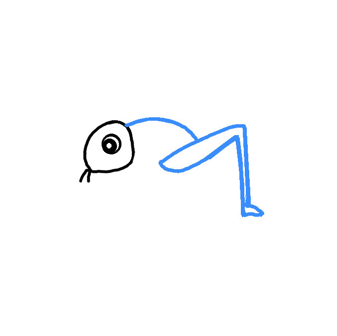 How to Draw a Flea Step by Step Easy Drawing Guides