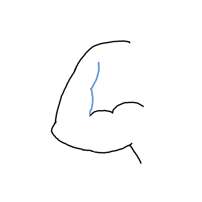 How to Draw Arm Muscles Step by Step Easy Drawing Guides Drawing Howtos