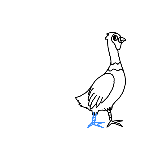 How to Draw a Pheasant Step by Step Easy Drawing Guides Drawing Howtos