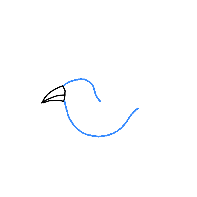 How to Draw a Seagull Step by Step Easy Drawing Guides Drawing Howtos