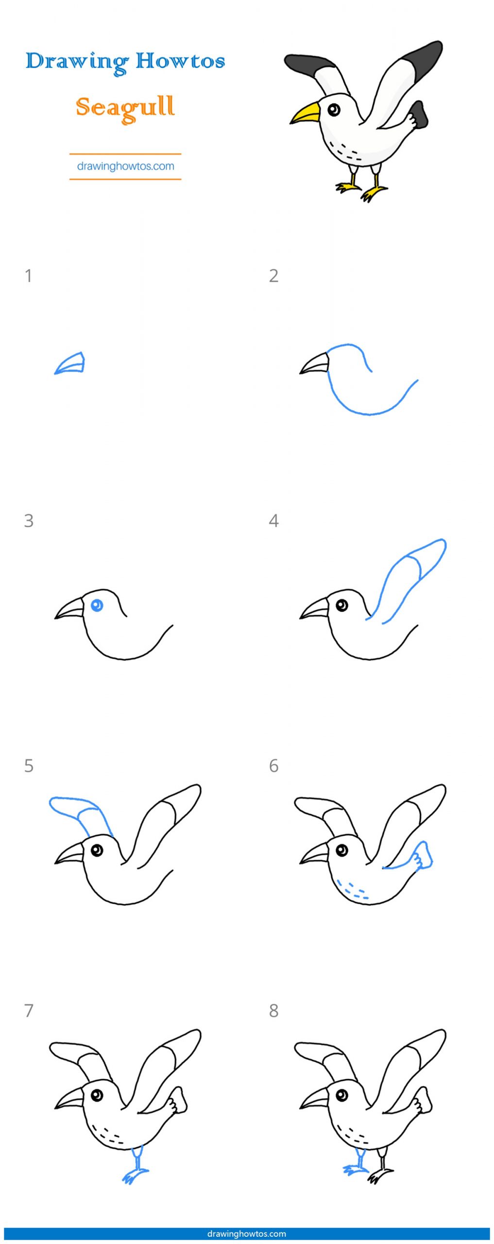 How to Draw a Seagull Step by Step Easy Drawing Guides Drawing Howtos