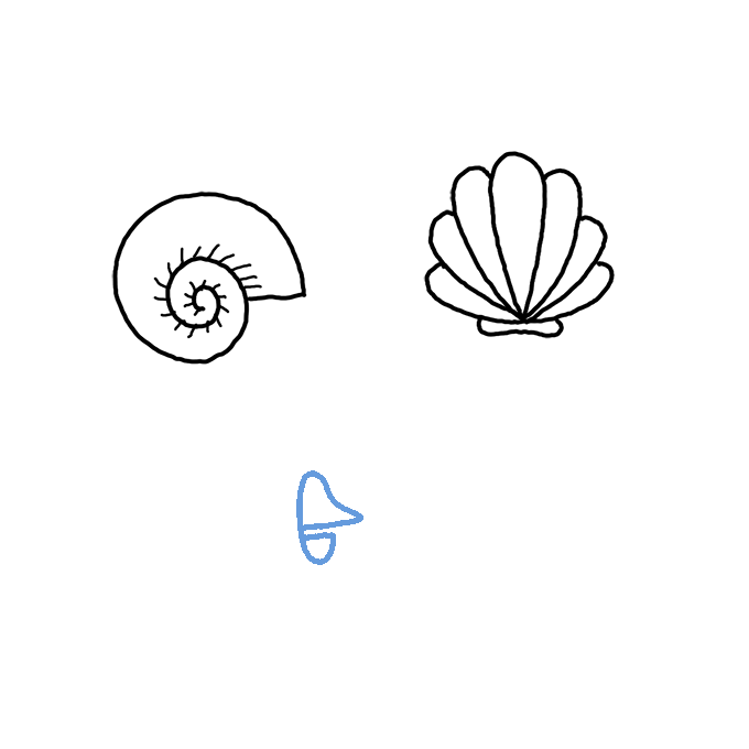 How to Draw a Seashell Step by Step Easy Drawing Guides Drawing Howtos