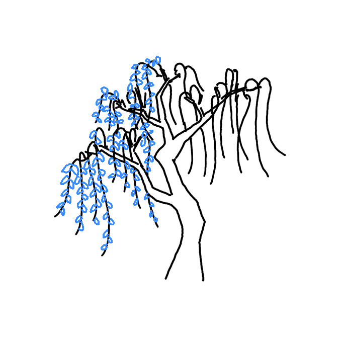 How to Draw a Willow Tree Step by Step Easy Drawing Guides Drawing