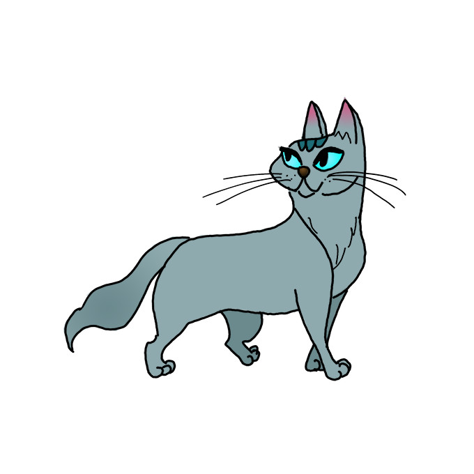 How to Draw a Russian Blue Cat Step by Step Easy Drawing Guides