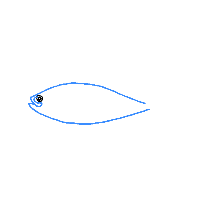 How to Draw a Tuna Fish Step by Step Easy Drawing Guides Drawing Howtos