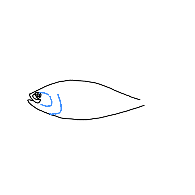 How to Draw a Tuna Fish Step by Step Easy Drawing Guides Drawing Howtos