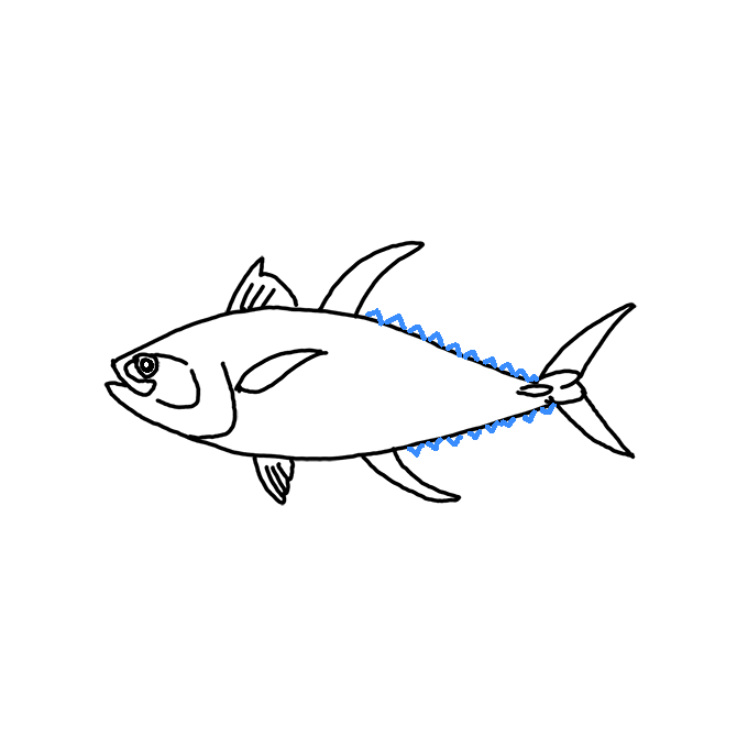 How to Draw a Tuna Fish Step by Step Easy Drawing Guides Drawing Howtos