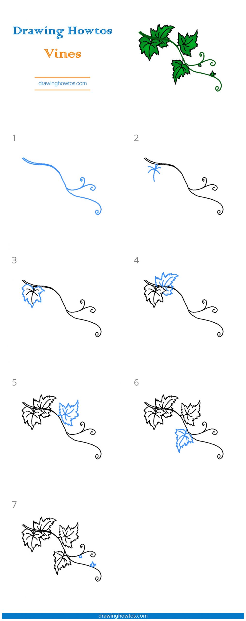 How to Draw Vines Step by Step Easy Drawing Guides Drawing Howtos