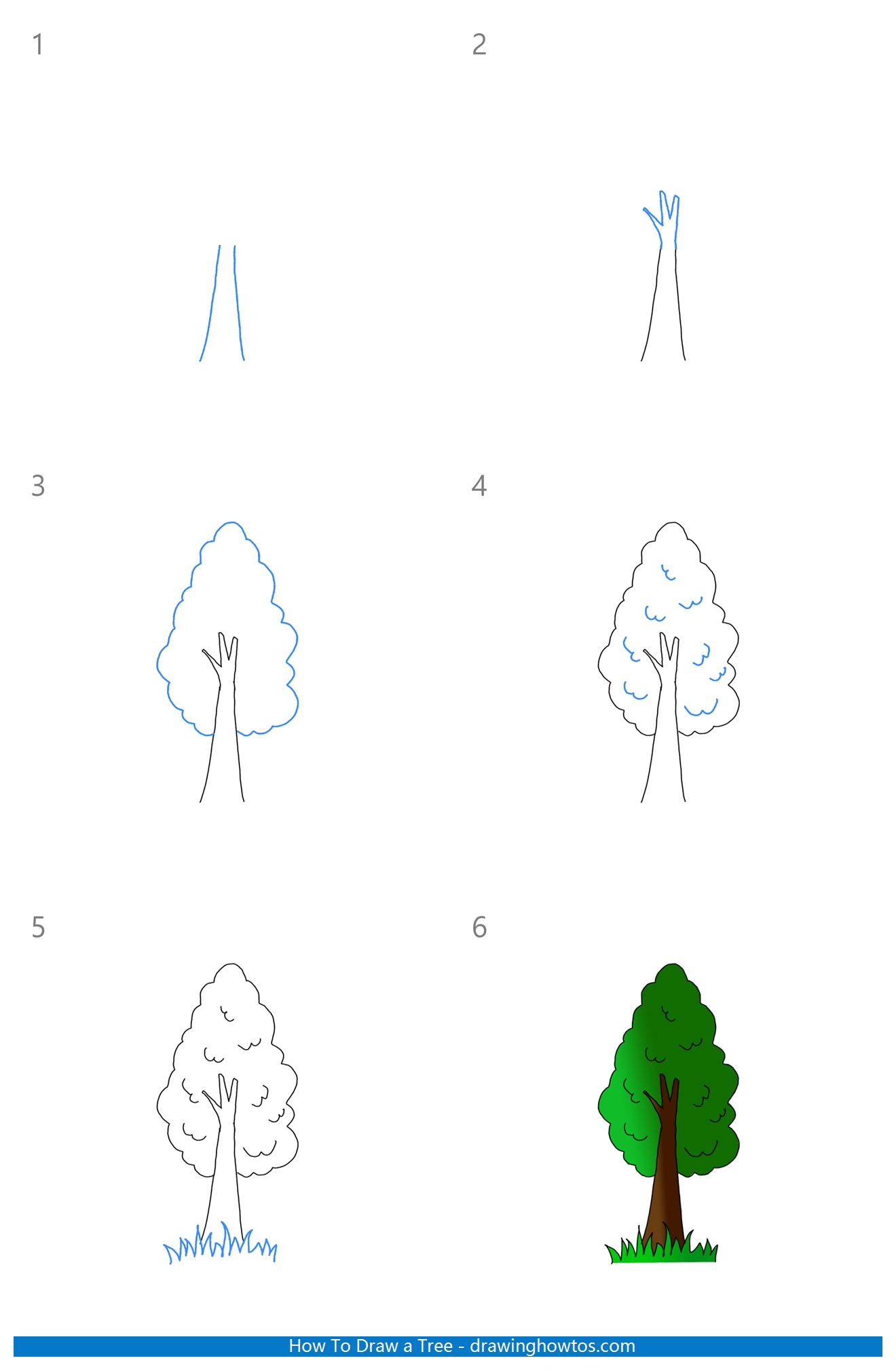 How to Draw a Tree Step by Step Easy Drawing Guides Drawing Howtos