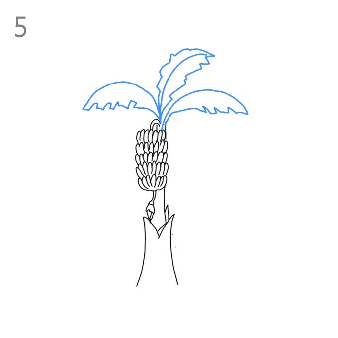 How to Draw a Banana Tree Step by Step Easy Drawing Guides Drawing