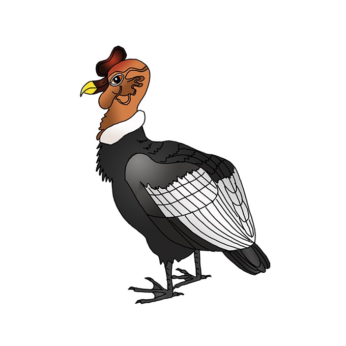 How to Draw an Andean Condor Step by Step Easy Drawing Guides Drawing Howtos