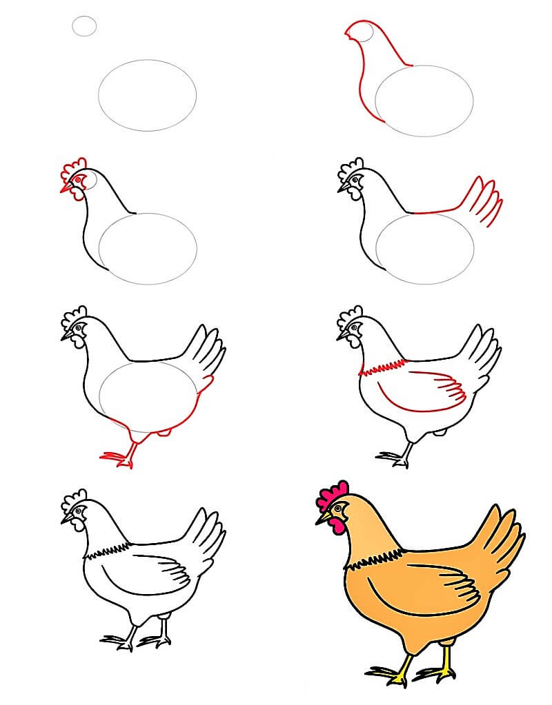 How to draw A Nice Chicken step by step Drawing Photos