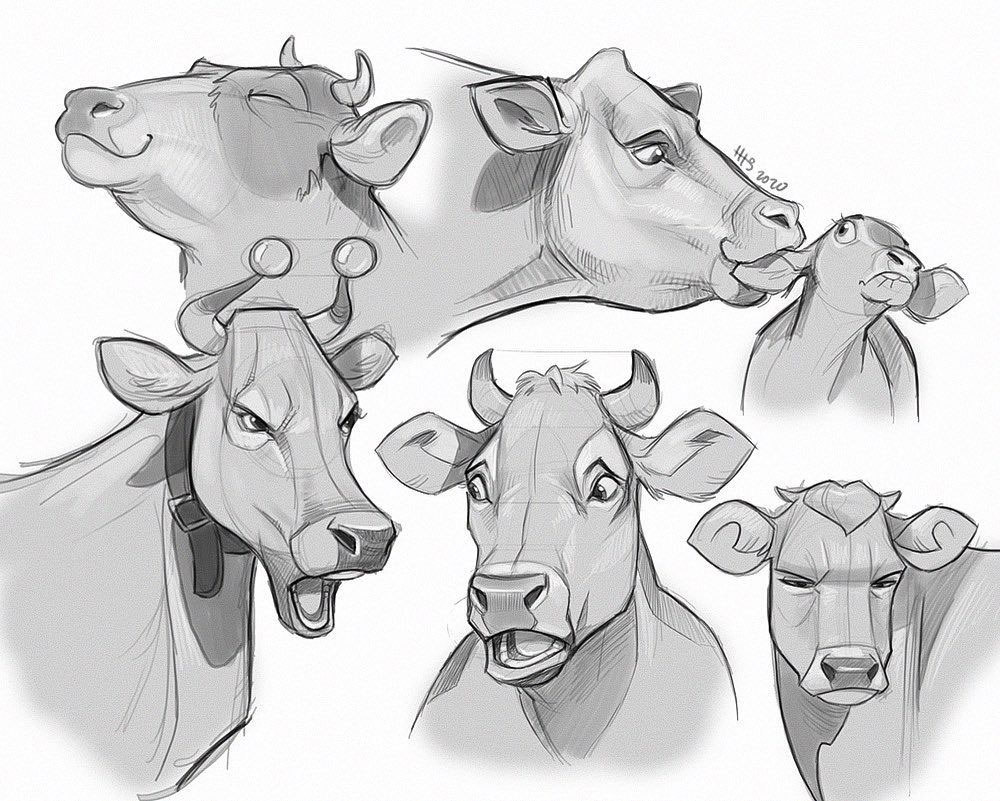 Cow Drawing Reference and Sketches for Artists