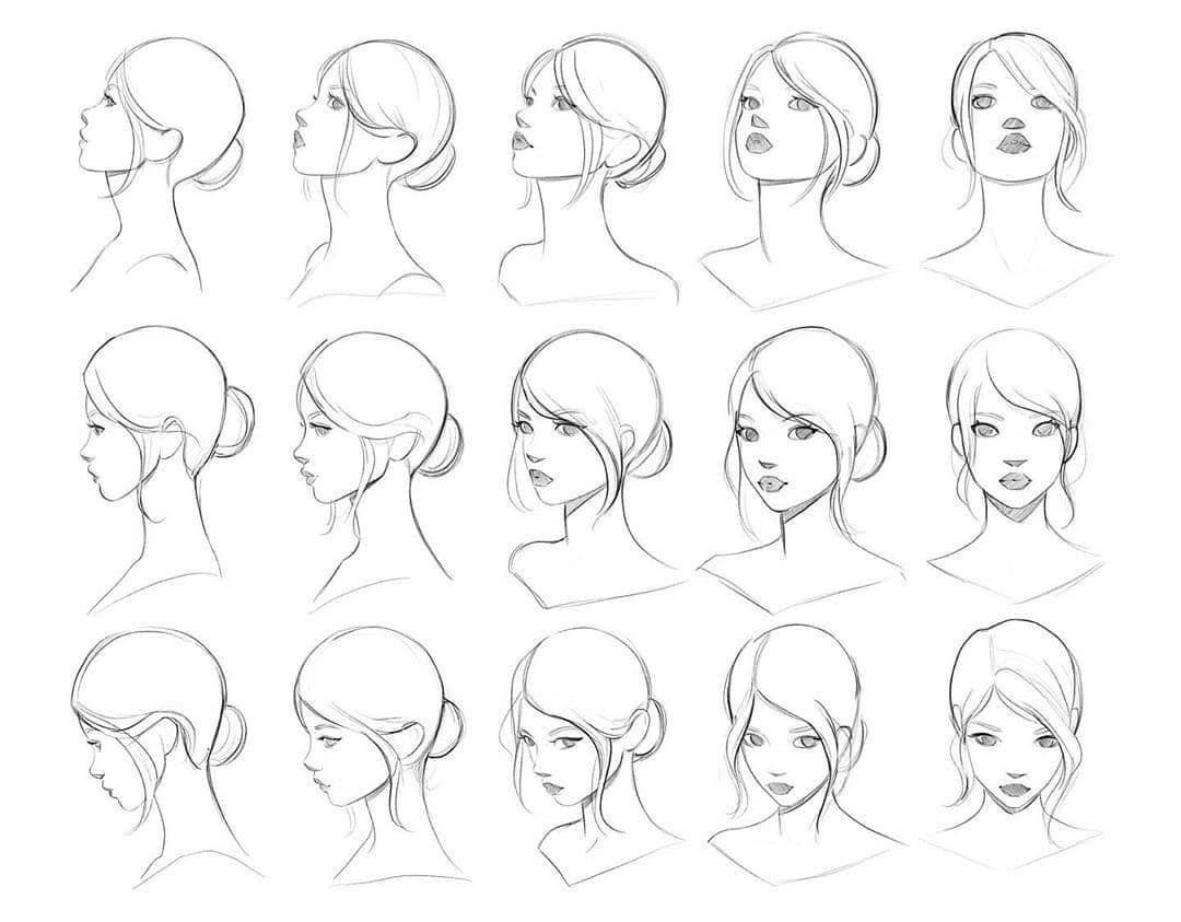 Female Head Reference Drawing at johnjslatero blog