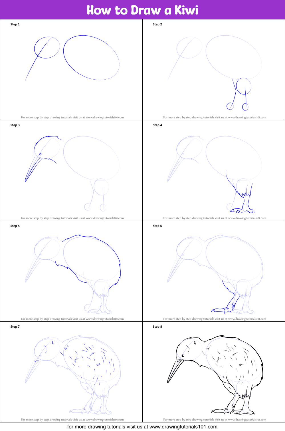 How to Draw a Kiwi (Birds) Step by Step