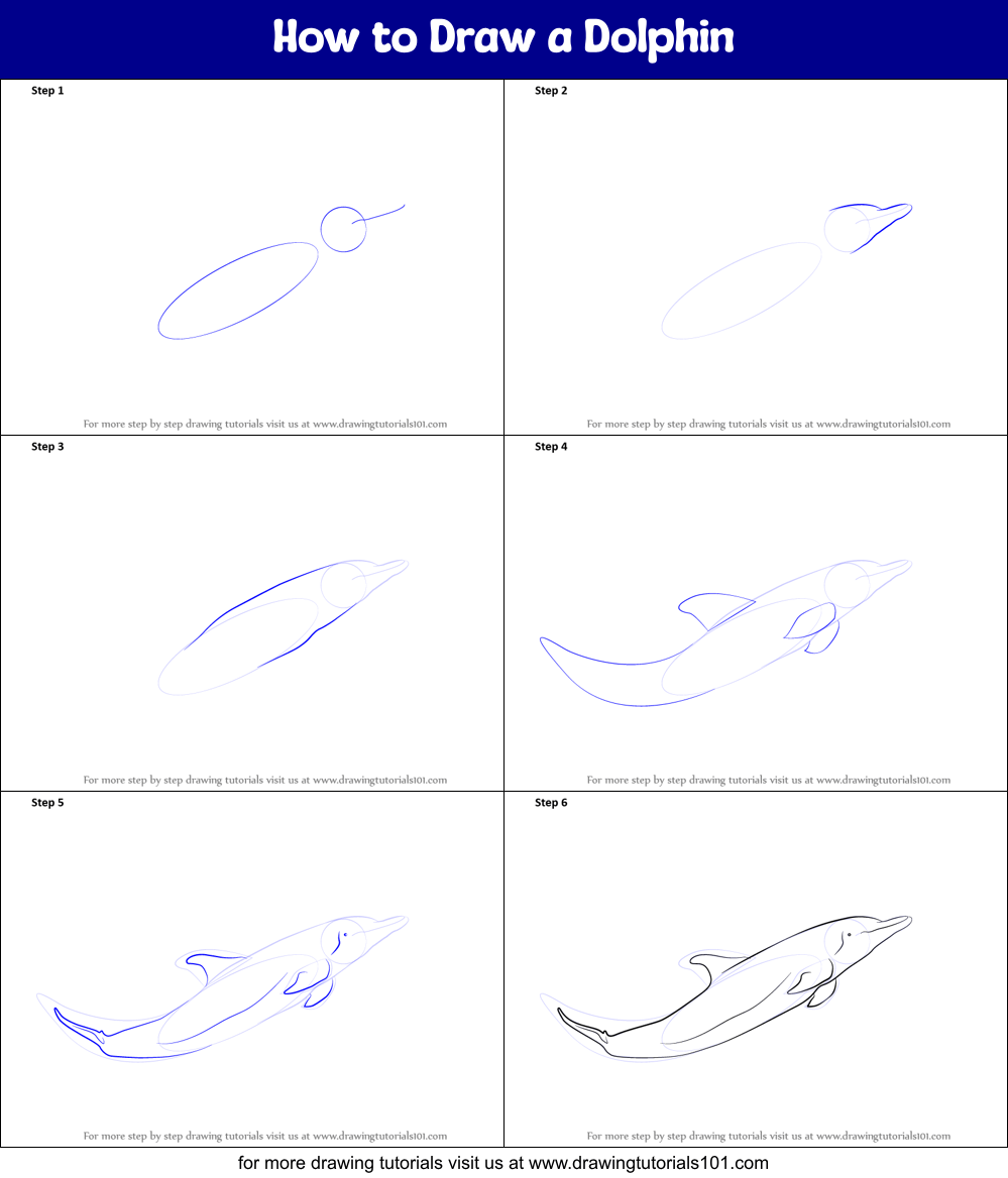 How to Draw a Dolphin (Sea Water Animals) Step by Step