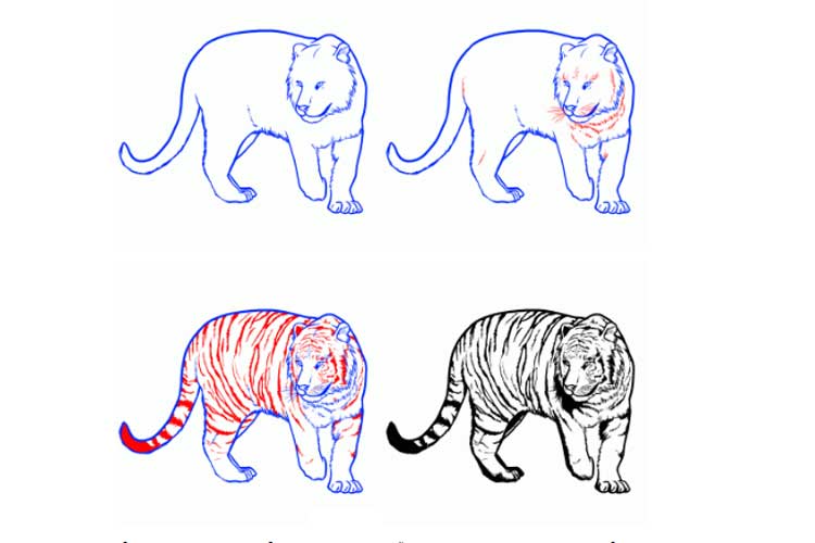 How To Draw a Tiger easy, with a pencil, for beginners step by step