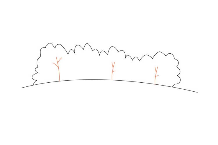How To Draw a Bush Easy, Plane and Realistic