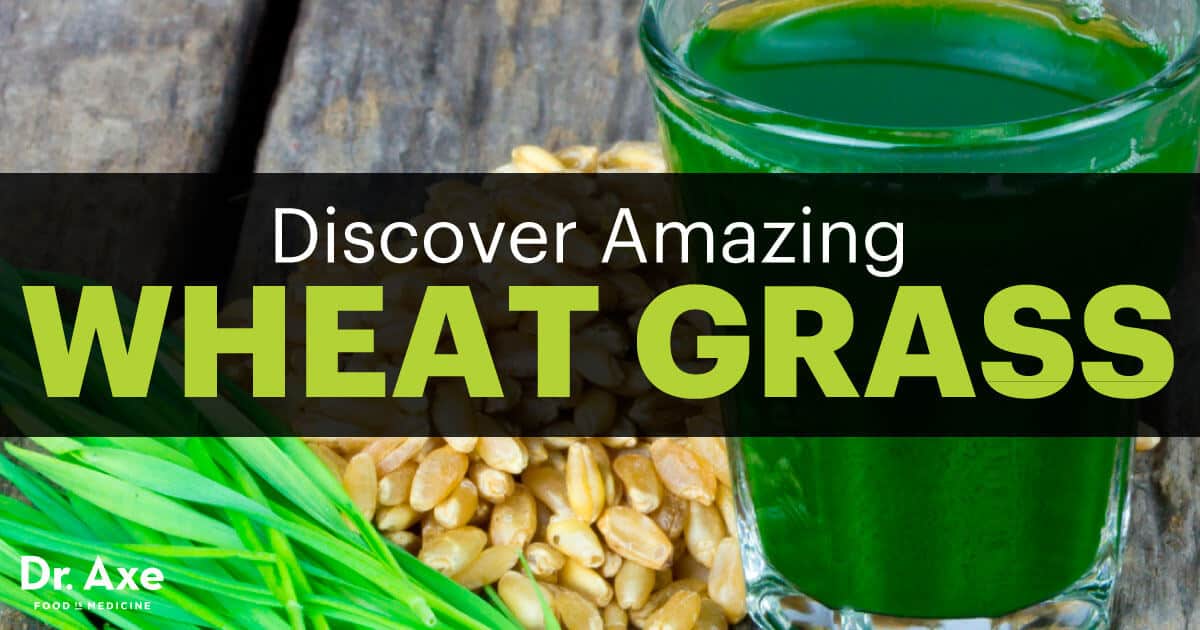 Discover Amazing Wheat Grass